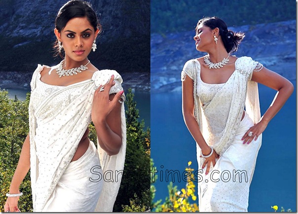 Karthika_Embroidery_Saree