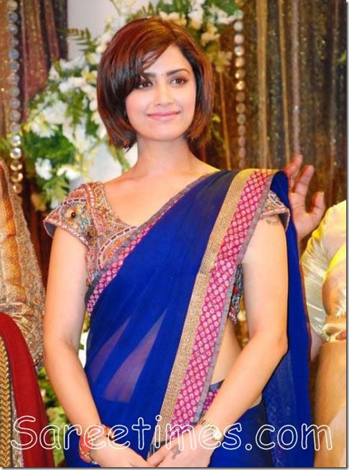 Mamtha_Mohandas_Blue_Saree