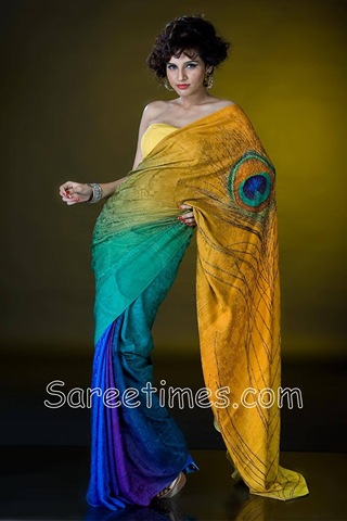 [Satyapaul_Peacokc_Saree[3].jpg]