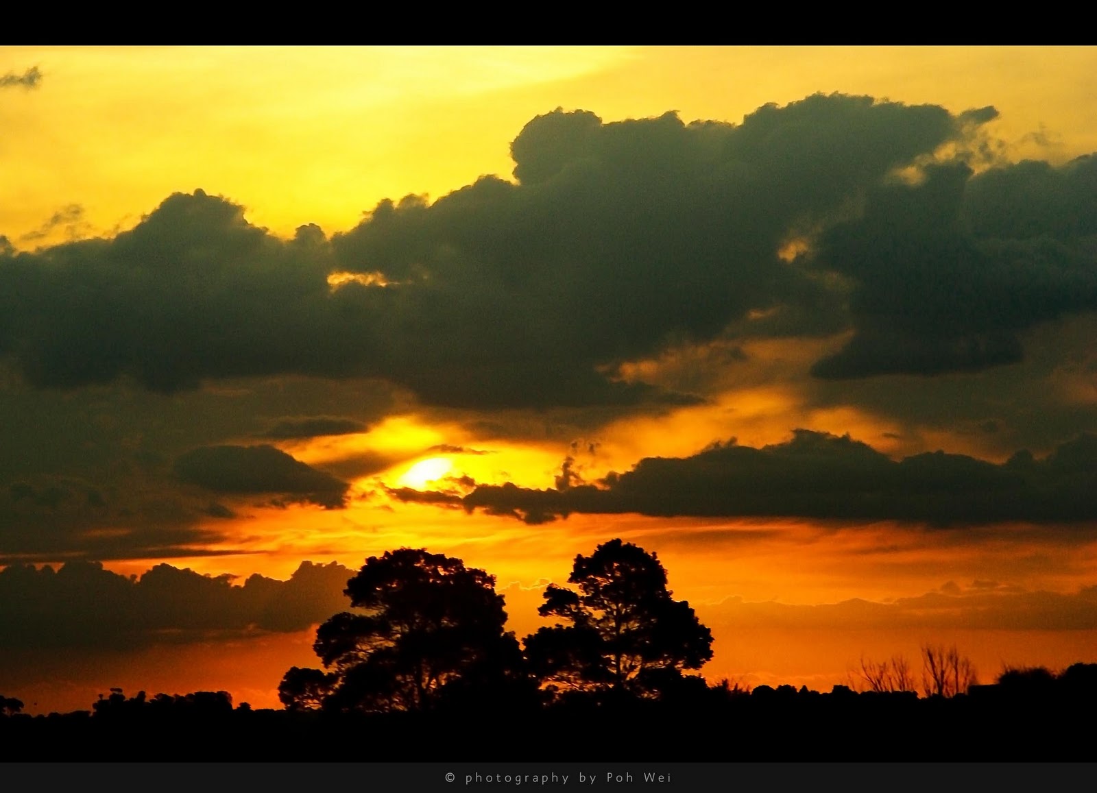 [IMG_3682 copy[3].jpg]