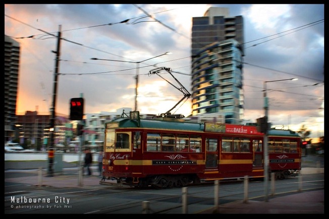 IMG_0644 copy