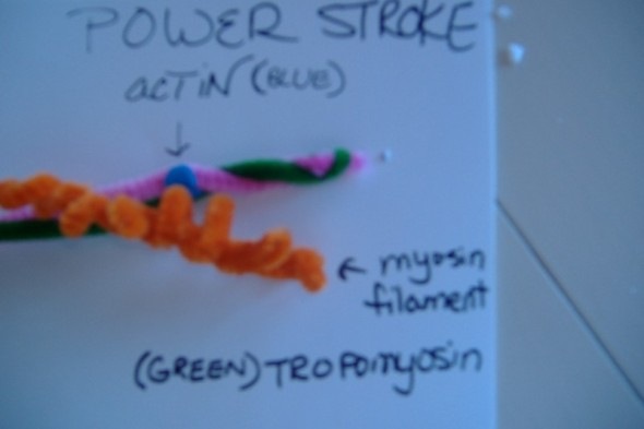 [powerstroke[5].jpg]