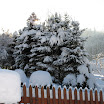Kychová 2010