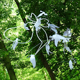 Fête des jardins 2010
