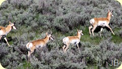 IMG_1379 IMG_1379