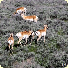 IMG_1381 IMG_1381