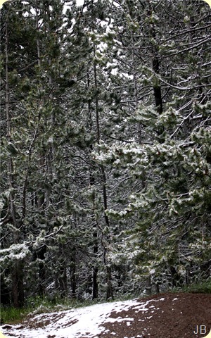 IMG_1510 IMG_1510