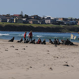 Træning på stranden