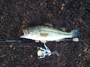 2011-02-0611.45.21-2011-02-6-14-16.jpg