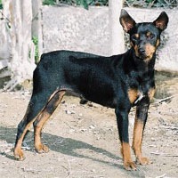 [CaRater012.jpg]
