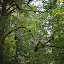 2008-08-28_13-34-00__DSC6496