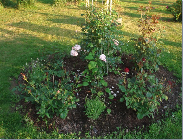 P7250117