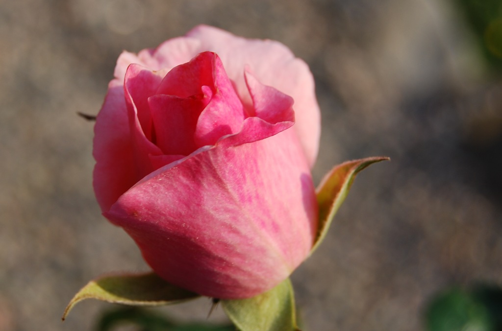 [DSC_0157_edited[1].jpg]
