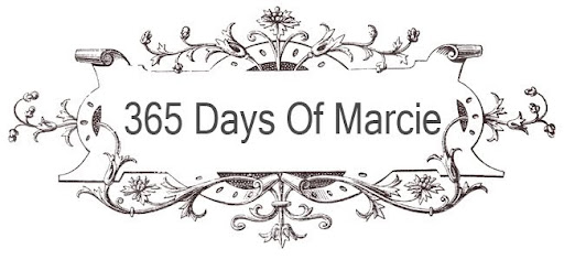 365 Days of Marcie