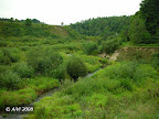 Bradeliškių piliakalnis