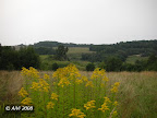 Iš toliau