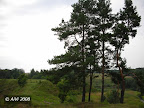 Bradeliškių piliakalnis
