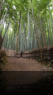 ilgiardinodisejbei, samuraiblog, blogsamurai, bushi, aikido, sejbei, giappone, blog, giapponeblog