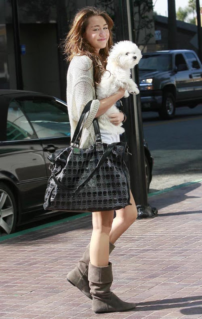 03-01-09 Burbank, CA Actress/singer Miley Cyrus and her dog arriving at the Walt Disney Studios in Burbank for a meeting... Non-Exclusive Pix by Flynet ©2009 818-307-4813 Nicolas 323-974-6007 Jay 310-466-8617 Scott