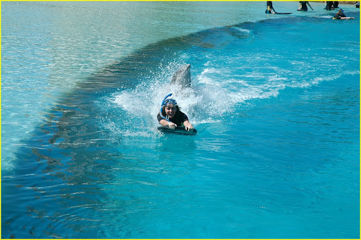 miley-cyrus-atlantis-sea-lion-05.jpg