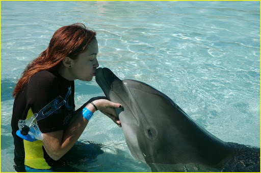 miley-cyrus-atlantis-sea-lion-03.jpg