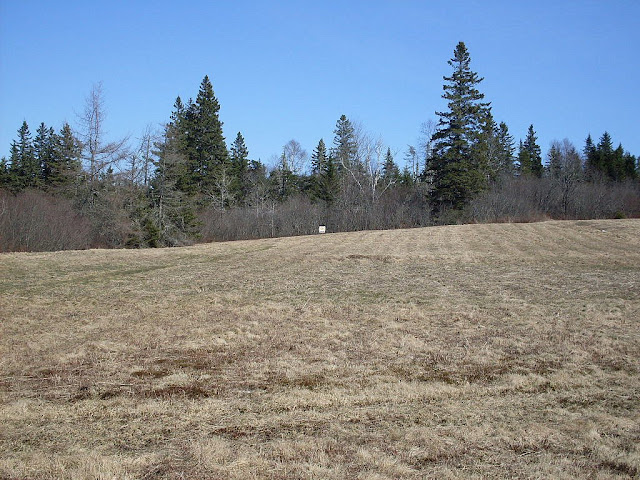 SDC10466.JPG