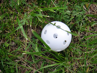 DSC00255.JPG