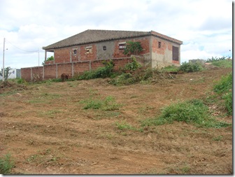 Denuncia Trator (5)