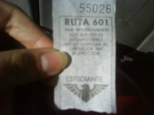 Mi boleto de la ruta 601