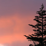 wallpapers-free-downloads.blogspot.com (85).jpg
