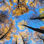 wallpapers-free-downloads.blogspot.com (88).jpg