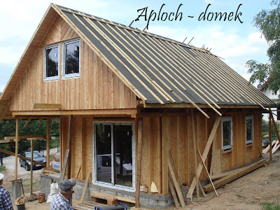 Biedronka - Aploch Biedronka - Aploch