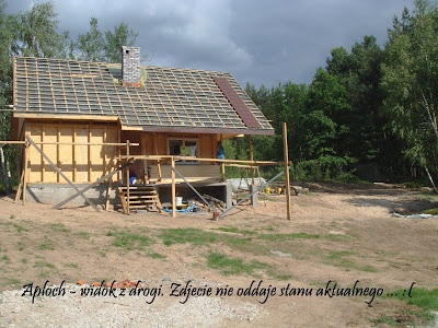 Biedronka - domek letniskowy Budujemy nowy dom - Biedronka