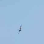 DSC_0043.JPG