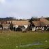 DSC01554.JPG, Sur la route E 60 après Sighishoara. Pauvreté des villages roumains..., Brasov, Tansylvanie. Mars 2008.