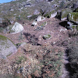 Fotos-0004.jpg
