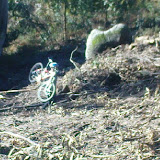 DSC01168.JPG