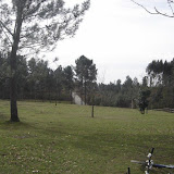 DSC02738 [800x600].jpg