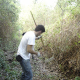DSC03342 [800x600].jpg