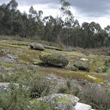 DSC03442 [800x600].jpg