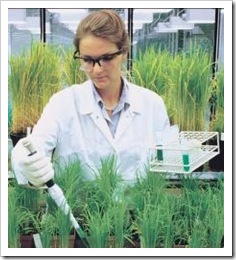 quimica-plantas01