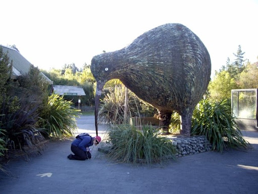 This poor girl was being eaten by the crazy large kiwi, photocredit: melissa on picasa