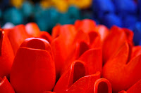 Wooden flowers