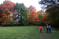 At the edge of the field