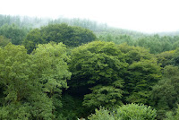 View from the cabin