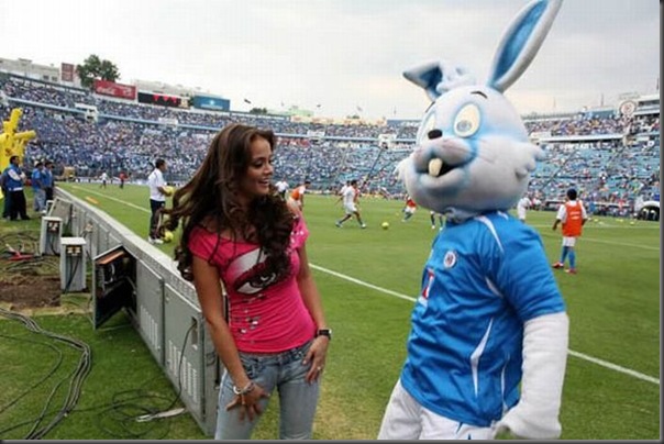 Lindas torcedoras da copa do mundo de 2010 (91)