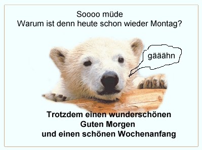 Meine Kleine Welt Montag 03 01 2011