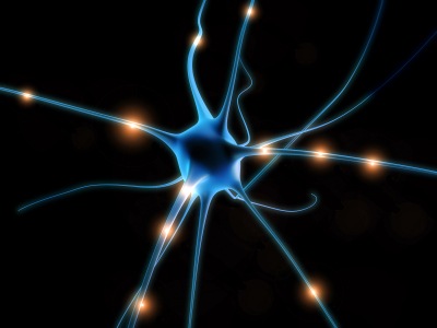 [neuronio2.jpg]