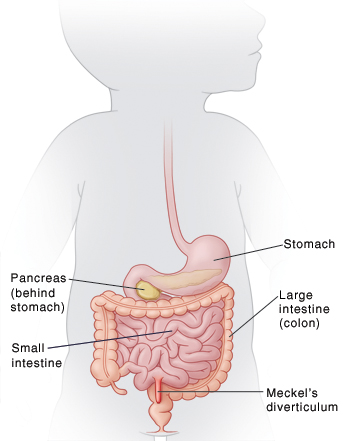 What are the withdrawl symptoms of subutex in a newborn