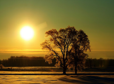 Visit Us @ www.MumbaiHangOut.Org